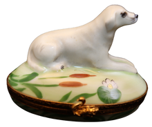 Cargar imagen en el visor de la galería, SKU# 6001 - Labrador Retriever amarillo
