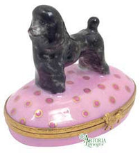 Load image into Gallery viewer, SKU# 6007 - Poodle Black
