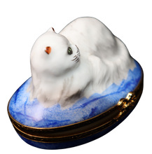 Load image into Gallery viewer, SKU# 6020 - Chinchilla Persian
