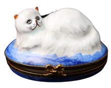 Load image into Gallery viewer, SKU# 6020 - Chinchilla Persian
