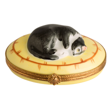Cargar imagen en el visor de la galería, SKU# 6022 - Gato durmiendo
