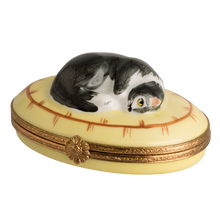 Cargar imagen en el visor de la galería, SKU# 6022 - Gato durmiendo
