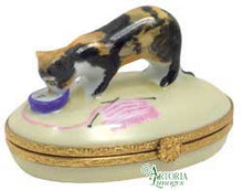 Cargar imagen en el visor de la galería, SKU# 6023 - Gato con caparazón de tortuga
