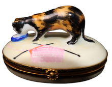 Cargar imagen en el visor de la galería, SKU# 6023 - Gato con caparazón de tortuga
