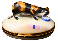 Cargar imagen en el visor de la galería, SKU# 6023 - Gato con caparazón de tortuga
