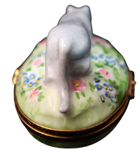 Load image into Gallery viewer, SKU# 6026 - Russian Blue
