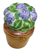 Cargar imagen en el visor de la galería, SKU# 6049 - Hortensia azul
