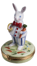 Load image into Gallery viewer, SKU# 6360 - Easter Bunny
