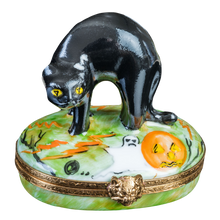 Load image into Gallery viewer, SKU# 6375 - Black Cat
