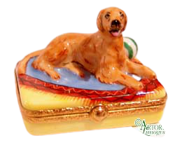 Código de artículo 7130 - Golden Retriever
