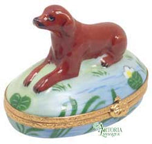 Cargar imagen en el visor de la galería, SKU# 7135 - Labrador chocolate
