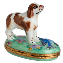 Load image into Gallery viewer, SKU# 7526 - Springer Spaniel
