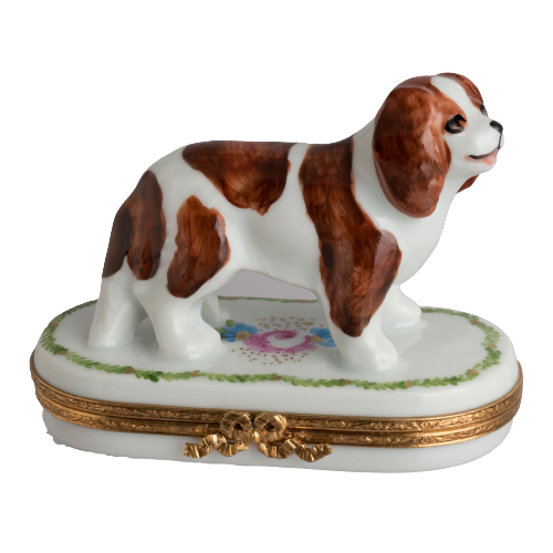 Código de artículo 7528 - Cavalier King Charles
