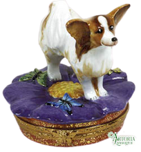 Cargar imagen en el visor de la galería, SKU# 7647 - Perro Papillon
