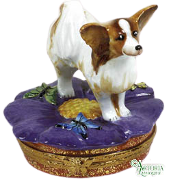 SKU# 7647 - Papillon Dog