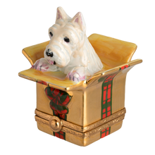 Load image into Gallery viewer, SKU# 7675 - Westie in Present Box
