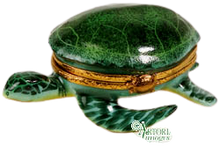Cargar imagen en el visor de la galería, SKU# 7816 - Tortuga marina
