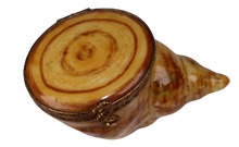 Load image into Gallery viewer, SKU# C780049 Bulot
